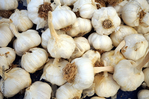 Frische Knoblauchzehen und Knoblauch am Gewürzstand auf einem Wochenmarkt und Basar im Stadtteil Erenköy in Sahrayicedit in Istanbul am Bosporus in der Türkei photo