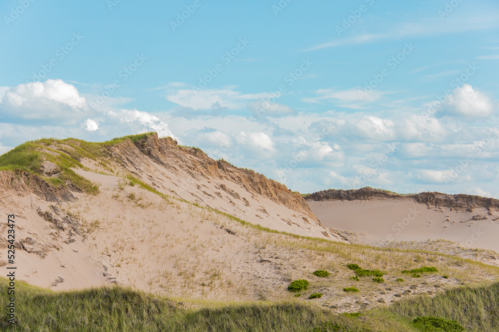 Dunes on the east coast Dunes on the east coast