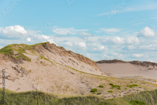 Dunes on the east coast