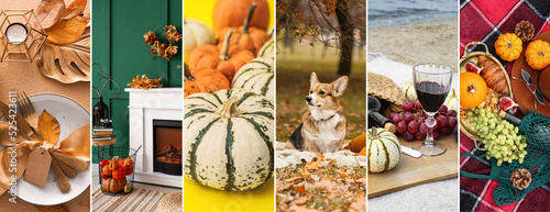 Beautiful collage for Thank...