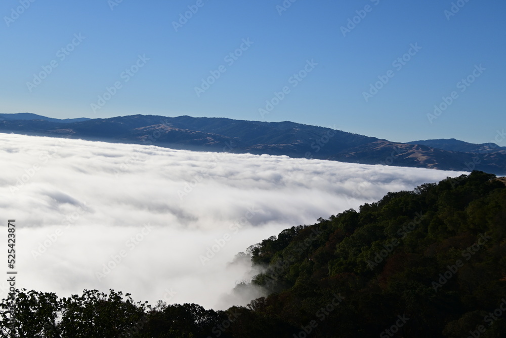 Obraz premium fog in the mountains