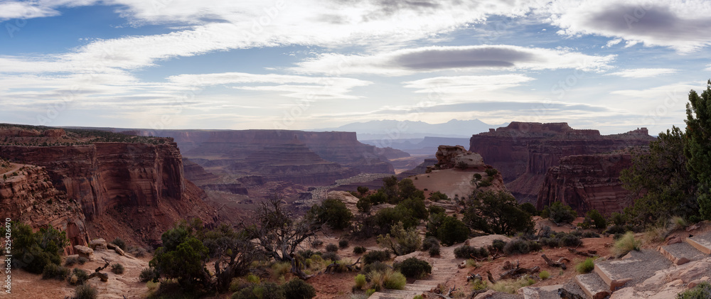 Fototapeta premium Scenic Panoramic View of American Landscape and Red Rock Mountains in Desert Canyon. Cloudy Sky. Canyonlands National Park. Utah, United States. Nature Background Panorama