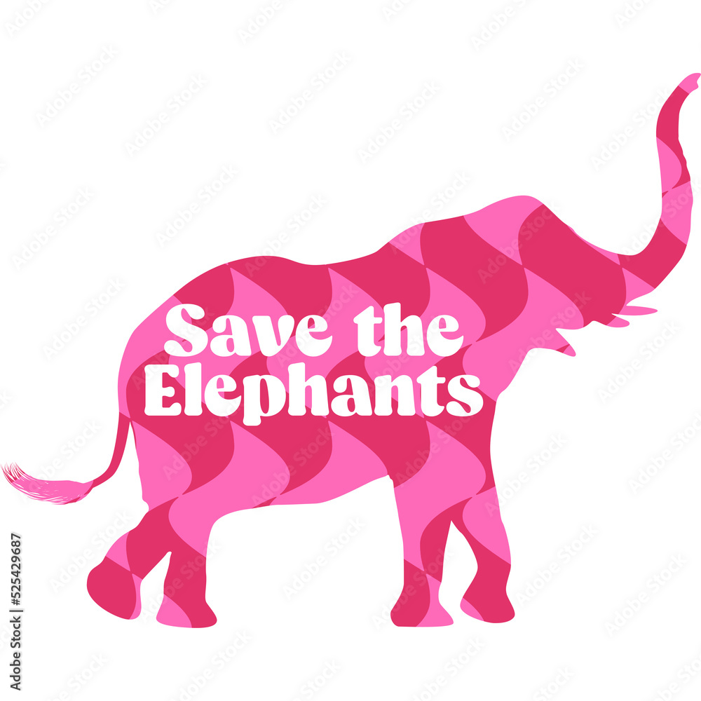 Fototapeta premium Pattern Elephant