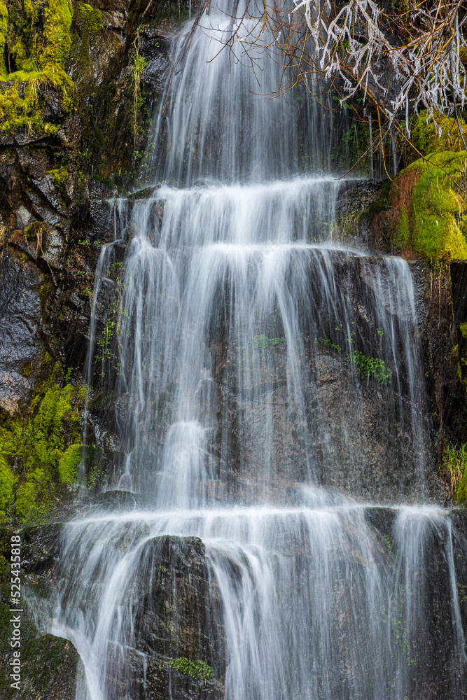 clear cascading waters in the lush green forest on the lower part of Mt. Rainier National park in Washington State. clear cascading waters in the lush green forest on the lower part of Mt. Rainier National park in Washington State.