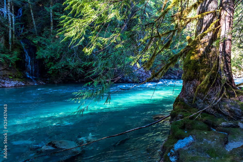 clear turquoise water in Ruby Creek trail in North cascade national park in Washington state during summer clear turquoise water in Ruby Creek trail in North cascade national park in Washington state during summer
