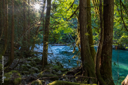 clear turquoise water in Ruby Creek trail in North cascade national park in Washington state during summer