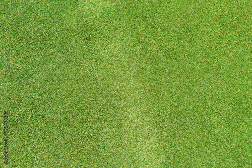 背景　素材　緑の草原　芝生　単色無地　壁紙　バックイメージ　テクスチャー素材　シンプル　万能　一面