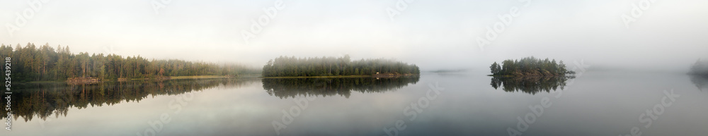 forest lake in summer with morning mist