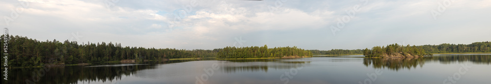 Fototapeta premium panorama of a forest lake