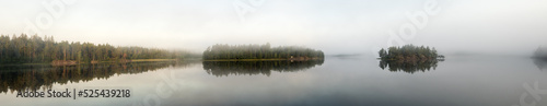 forest lake in summer with morning mist