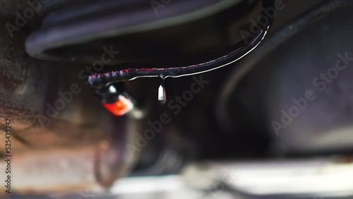 Macro closeup vehicle undercarriage with leaking fuel liquid under car and wet wires cables and falling drops. The wires were chewed by rodents.