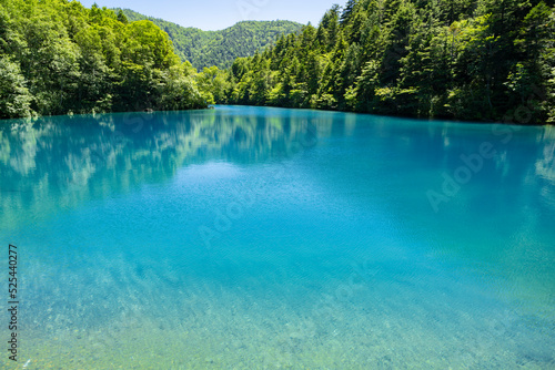 志賀高原 大沼池 コバルトブルーの美しい池