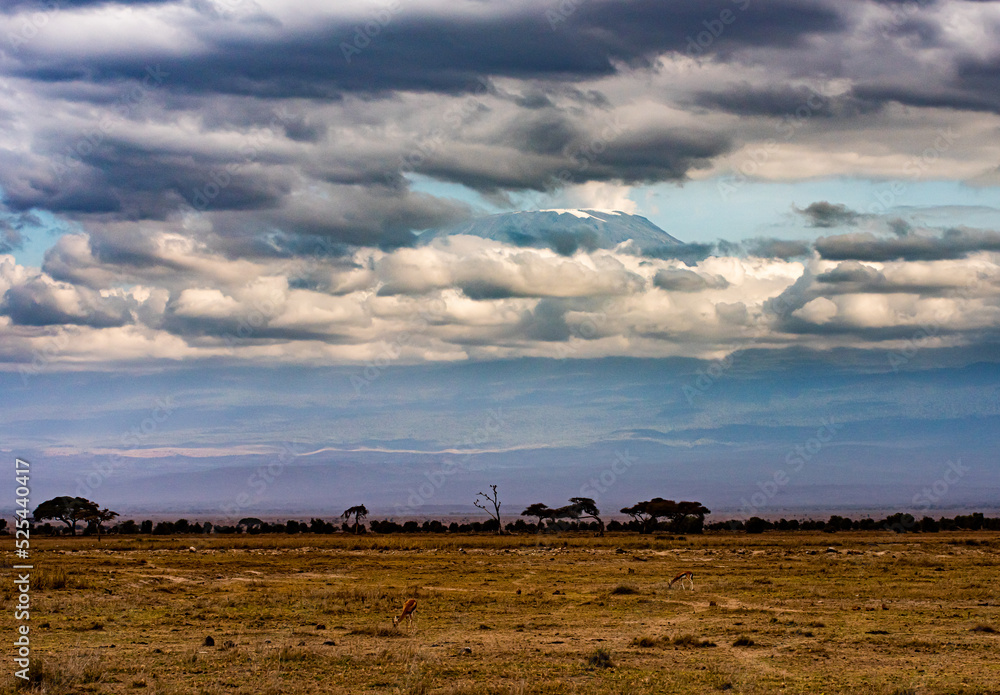 Mt Kilimanjaro poking through the clouds, above the Amboseli National Park in Kenya Africa