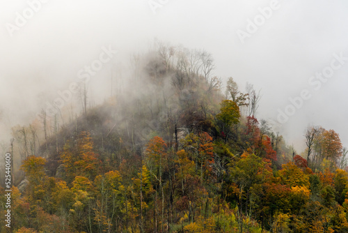 Fog Engulfs The Colorful Chimney Tops