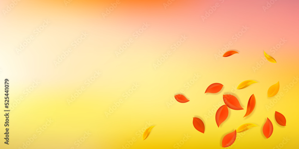 Falling autumn leaves. Red, yellow, green, brown n