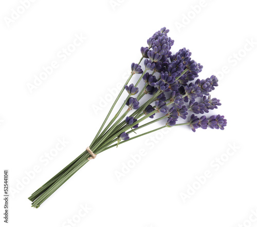Bunch of aromatic lavender flowers on white background  top view