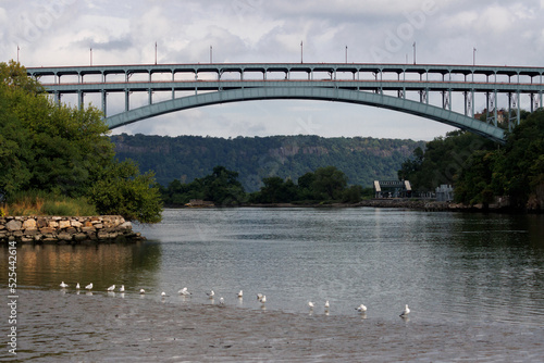 Henry Hudson Bridge spanning Spuyten Duyvil Creek connecting Manhattan to the Bronx on a cloudy morning, seagulls wade in a row at the edge of the water photo