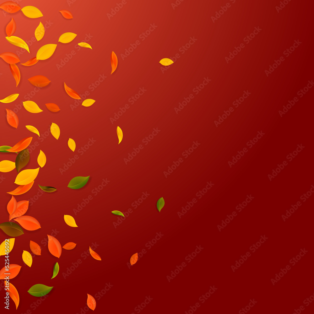 Falling autumn leaves. Red, yellow, green, brown c Falling autumn leaves. Red, yellow, green, brown c