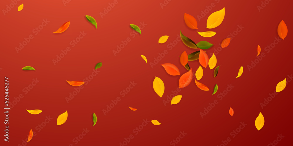 Falling autumn leaves. Red, yellow, green, brown c Falling autumn leaves. Red, yellow, green, brown c