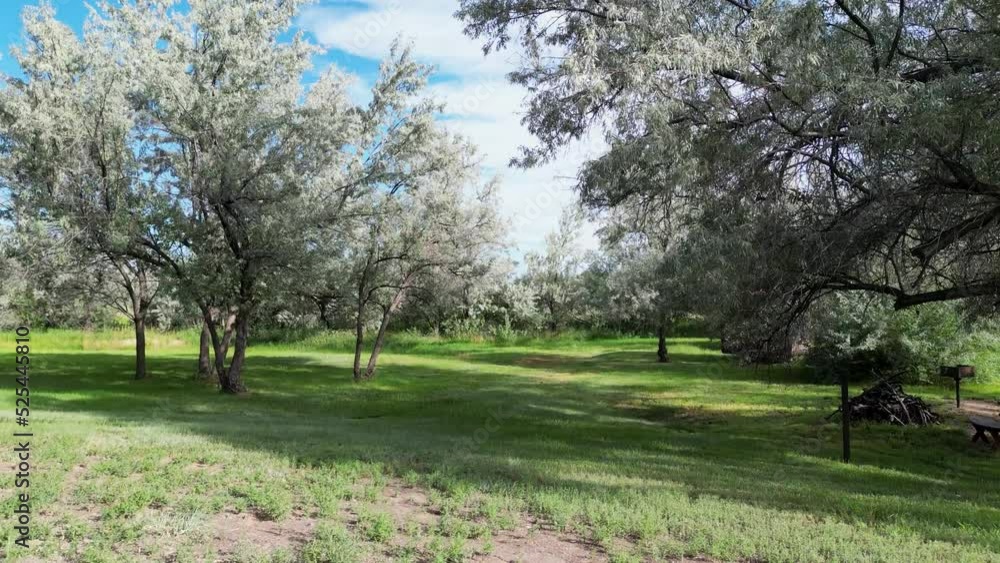Aerial drone moving straight through bright green trees and grass field for smooth relaxing cinematic 4k uav footage in Wyoming Aerial drone moving straight through bright green trees and grass field for smooth relaxing cinematic 4k uav footage in Wyoming