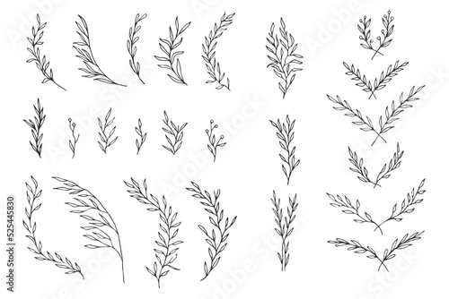 set collection laurels plants leaves hand made draw vector 