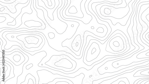 Abstract Contour Topographic Map Pattern
