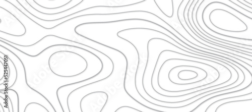 Topographic map lines background. Geometric abstract grid. Vector illustration.