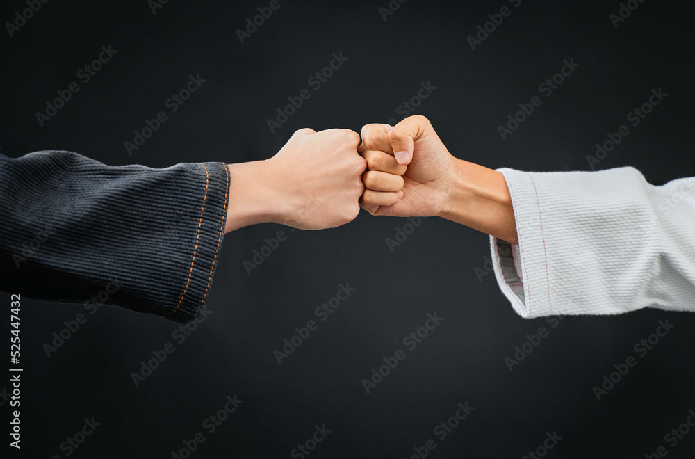 Teamwork, respect and discipline with hands fist bumping before a fight, match or mma competition. Closeup of two athletes greeting before combat sport and self defense against a black background - obrazy, fototapety, plakaty 