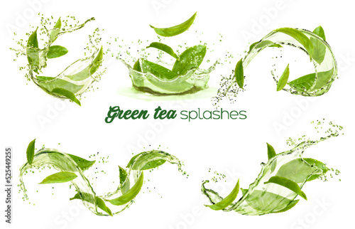 Green tea leaves swirls and splashes, transparent background. Vector 3d organic herbal foliage in water splatters, fresh drink aqua flow. Isolated plant leaves, natural aroma beverage