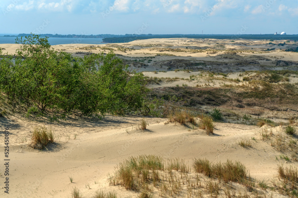 View of Staroderevenskaya dune from the height of Efa (Walnut Dune) and the Baltic Sea in the background on a sunny summer day, Curonian Spit, Kaliningrad region, Russia View of Staroderevenskaya dune from the height of Efa (Walnut Dune) and the Baltic Sea in the background on a sunny summer day, Curonian Spit, Kaliningrad region, Russia