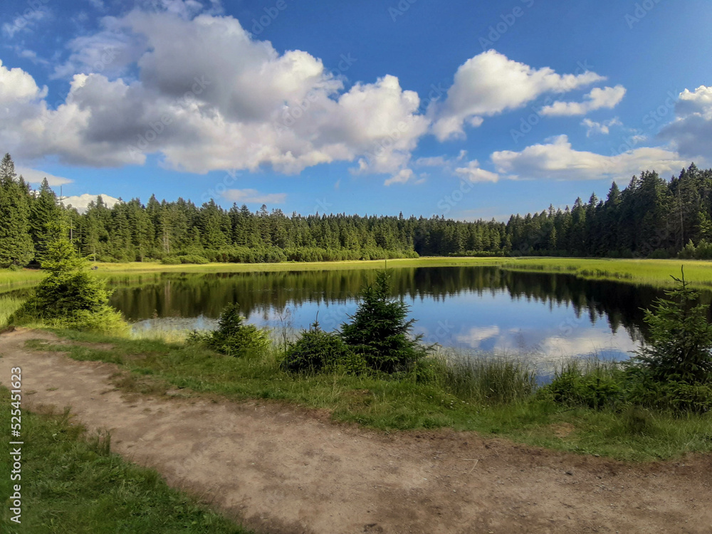 lake in the forest, (črno jezero) lake in the forest, (črno jezero)