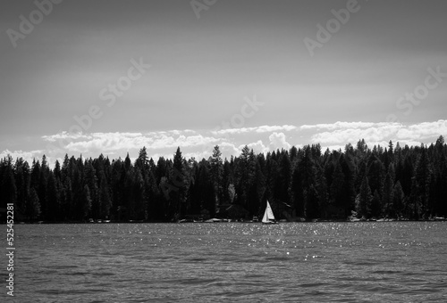 Black & White Sail Boat on a Scenic Lake
