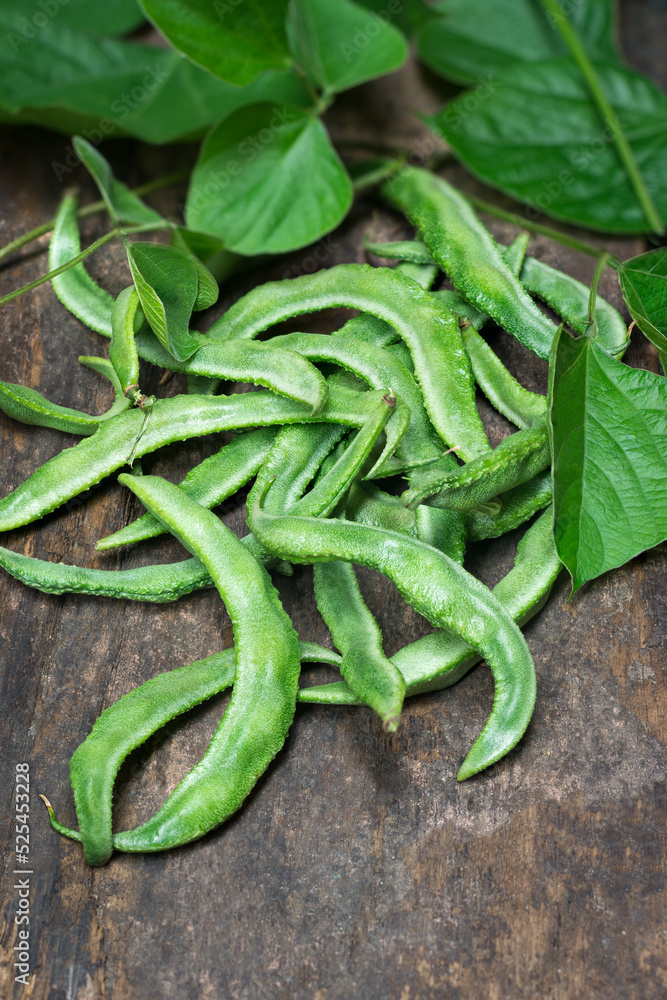 freshly harvested hyacinth bean with its vine leaves, lablab purpureus