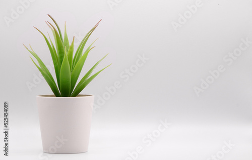 Artificial potted green plant with small pot over white background