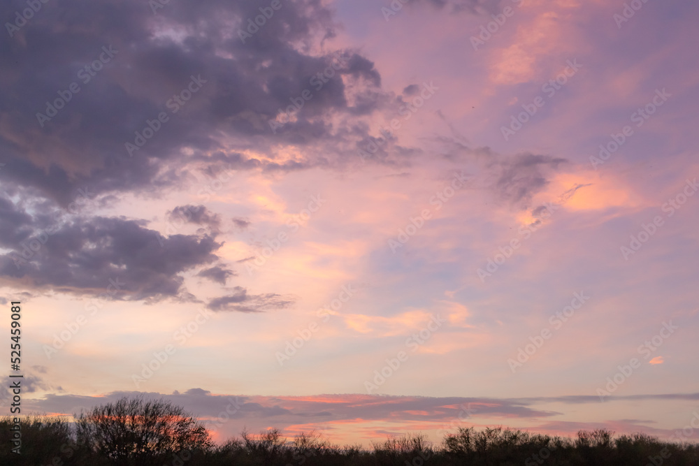 Dramatic pink and purple sunset on Woodlawn Lake San Antonio Texas	