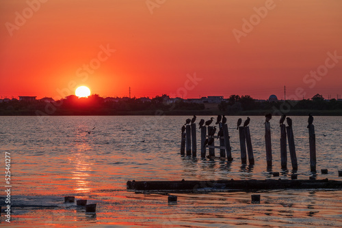 Beautiful red and orange sunset over the sea. The sun goes down over the sea. A flock of cormorants sits on a old sea pier in orange sunset light