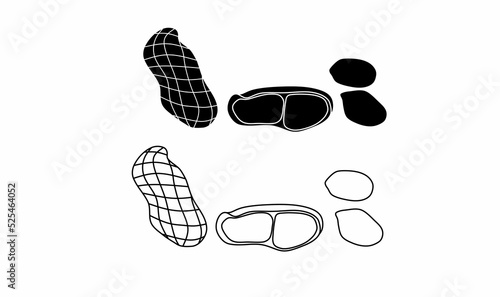 peanuts icon set isolated on white background.Arachis hypogaea.also known as the groundnut, goober ,pindar or monkey nut