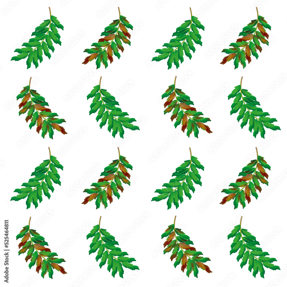 Seamless pattern with beautiful rowan autumn leaves on white background. Autumn concept. Wallpaper with mountain ash. Seamless pattern with beautiful rowan autumn leaves on white background. Autumn concept. Wallpaper with mountain ash.