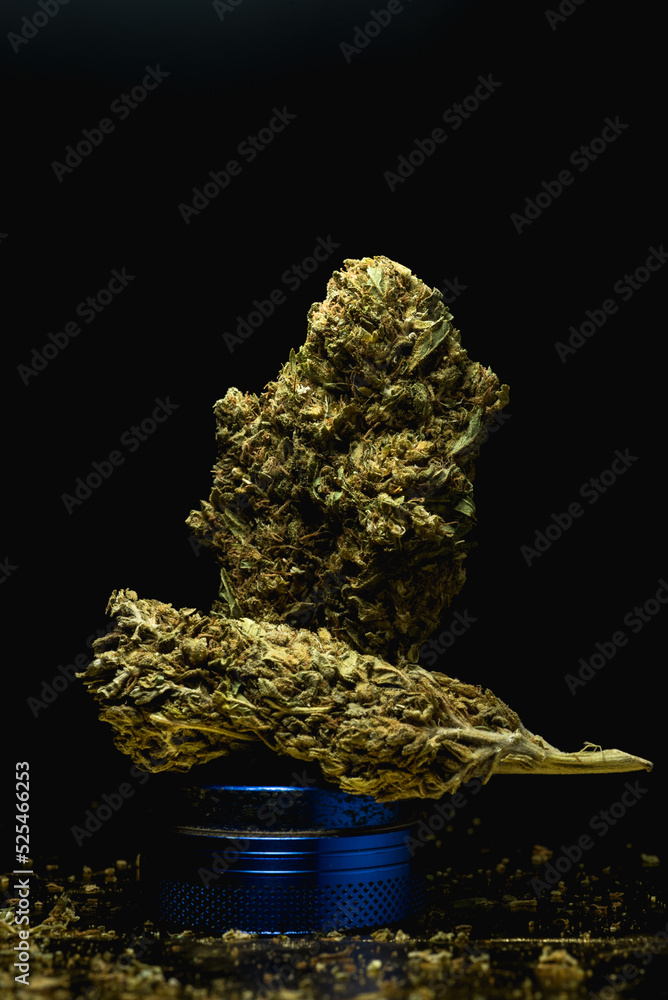 close up portrait of  Cannabis Marijuana Dry Buds,  selective focus.
