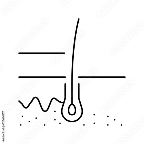 healthy growing hair line icon vector illustration