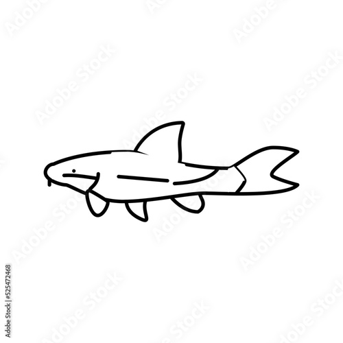 otocinclus fish line icon vector illustration