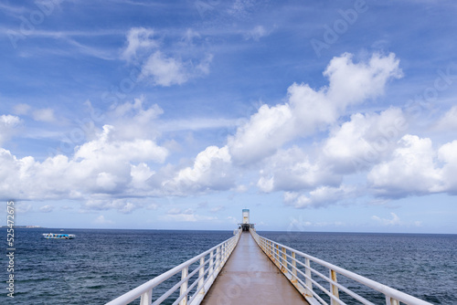 ［沖縄県・名護市］ブセナ海中公園・海中展望塔 © UMI