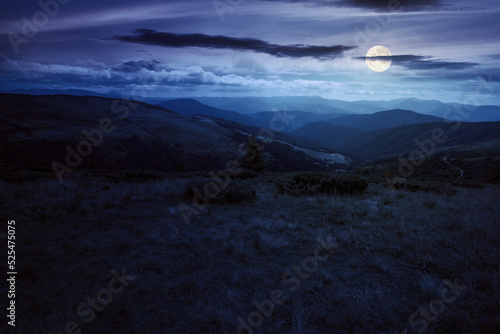 rolling hills and grassy meadows of carpathians. chornohora mountain ridge in the distance on a summer night with clouds on the sky in full moon light © Pellinni