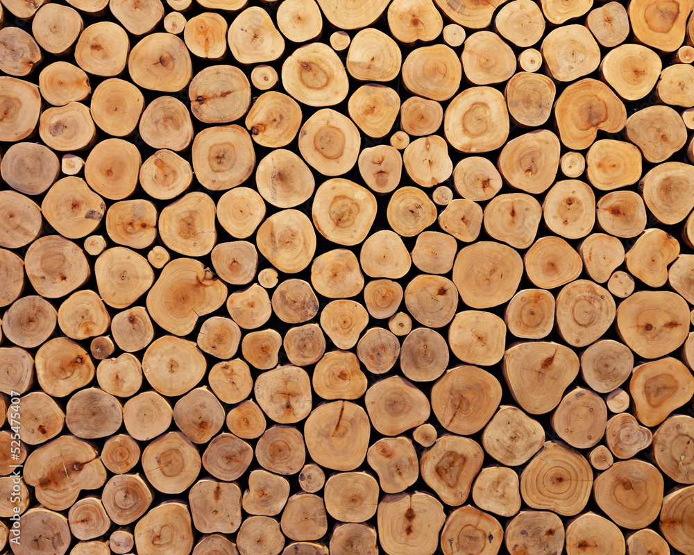 background of the Pile of wood logs ready for winter background of the Pile of wood logs ready for winter