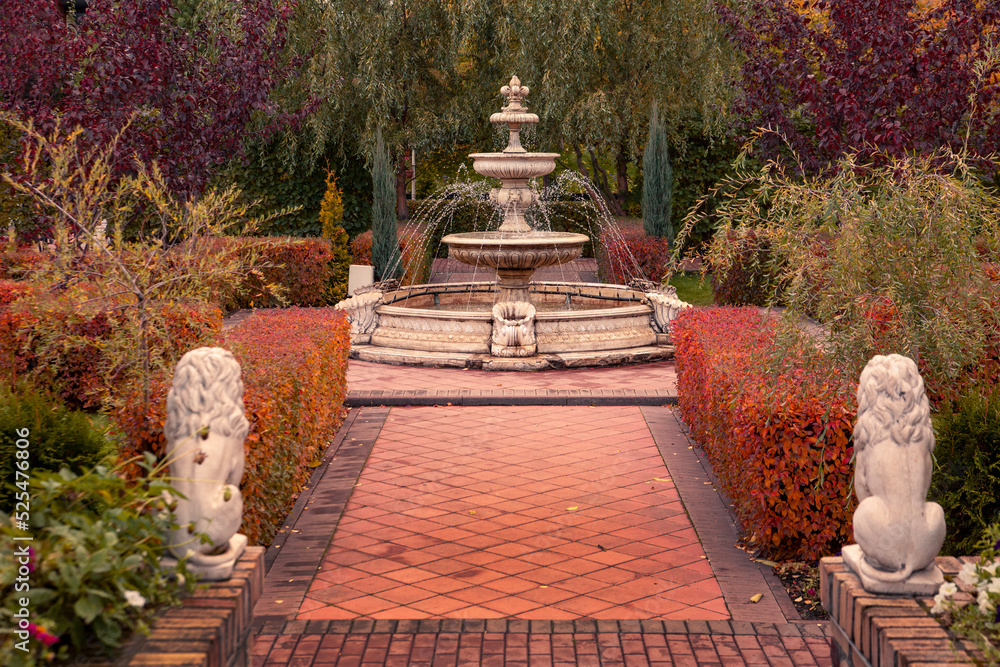 Alley with a fountain against the backdrop of beautiful plants in the autumn park. Landscape design, landscape architecture.