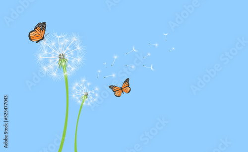 Colorful dandelion with flying seeds and monarch butterflies on blue background banner. Vector illustration for card design, baby clothings, print, poster, wall decor, spring, summer sale banner.