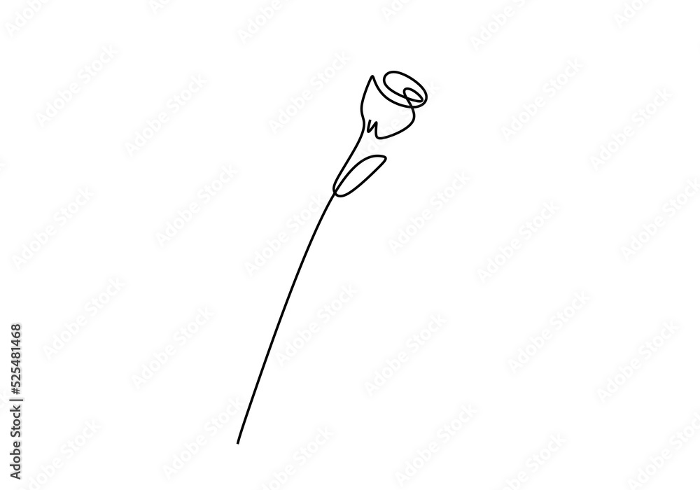 One continuous single line hand drawing of rose flower isolated on white background. One continuous single line hand drawing of rose flower isolated on white background.