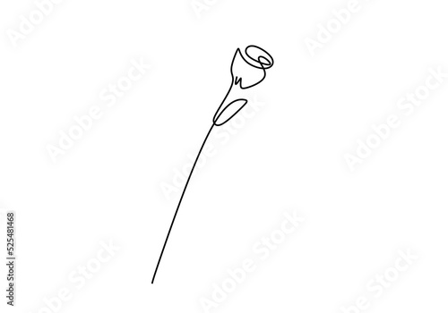 One continuous single line hand drawing of rose flower isolated on white background.