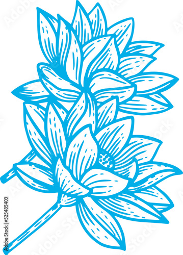 Mystical Celestial Clipart Symbol space doodle Esoteric elements