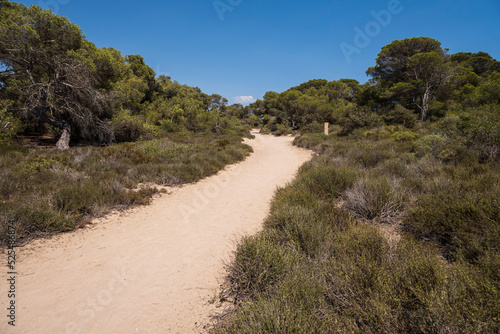 s'Estalella sand path, s Estanyol de Migjorn, Llucmajor, Majorca, Spain